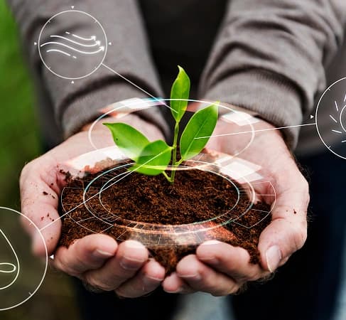 Long-Term Sustainability